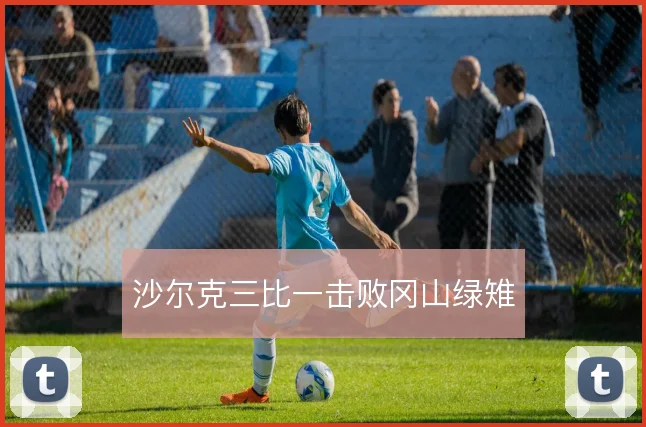 沙尔克三比一击败冈山绿雉