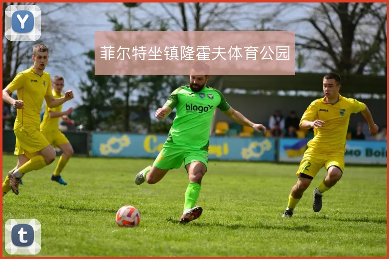 菲尔特坐镇隆霍夫体育公园
